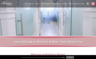 brighton-dental.com screenshot
