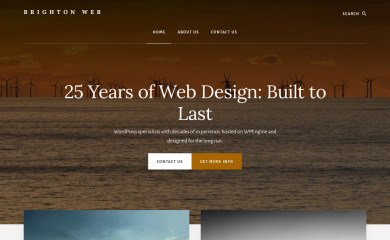 brightonweb.com screenshot