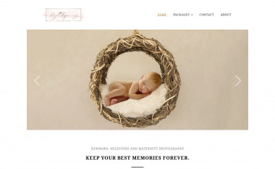 brightbeginningsphotography.com screenshot