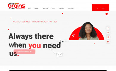 brightbrainsglobal.com screenshot