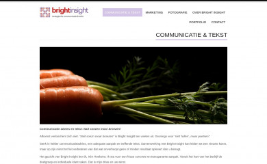 brightinsight.nl screenshot