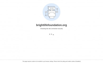 brightlifefoundation.org screenshot