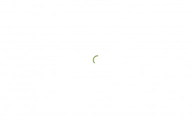 brisbanedisputeresolution.com.au screenshot