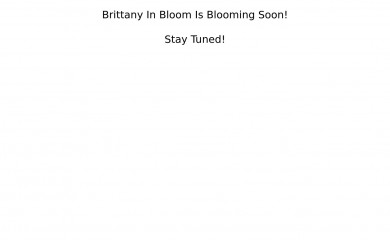 brittanyinbloom.com screenshot