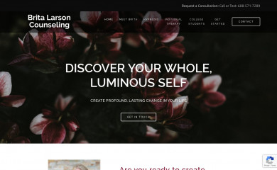 britalarsoncounseling.com screenshot