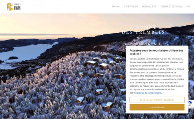 briviagroup.ca screenshot