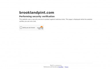 brooklandpint.com screenshot