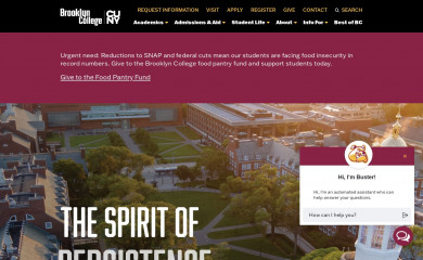 brooklyn.edu screenshot