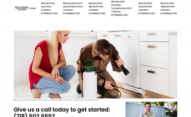 brooklynnybedbugsroachantstermitemiceratpestcontrolexterminator.com screenshot