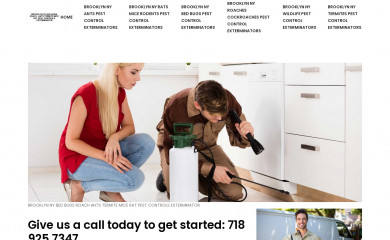 brooklynnybedbugsroachantstermitemiceratpestcontrolexterminator.com screenshot