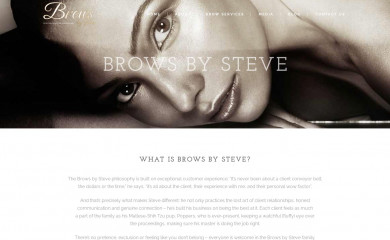 browsbysteve.com screenshot