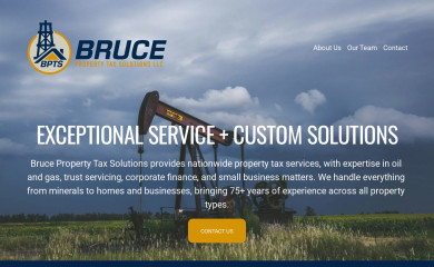 brucepts.com screenshot