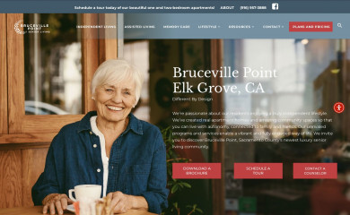 brucevillepoint.com screenshot