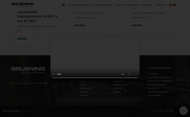 bruening.cl screenshot
