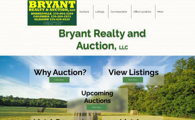 bryantrealtyandauction.net screenshot