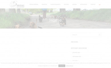 brzdac-jamniki.pl screenshot