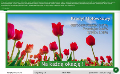 bsgoleniow.pl screenshot