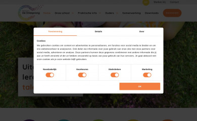 bsdedriesprong.nl screenshot