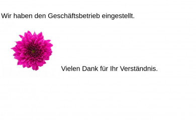 bsg-schwerte.de screenshot