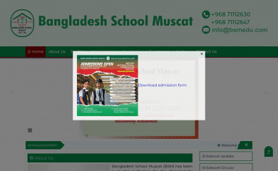 bsmedu.com screenshot