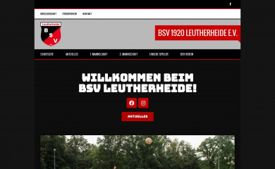 bsv1920.de screenshot