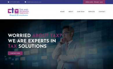 ctaaccountants.co.za screenshot