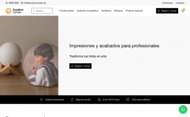 cuadroscerdan.es screenshot