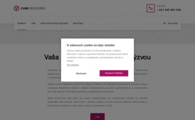 cuberecovery.sk screenshot