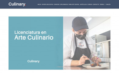 culinaryartschool.edu.mx screenshot