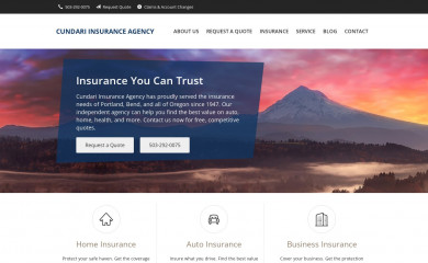 cundariinsurance.com screenshot