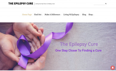 curingepilepsy.com screenshot