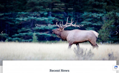 cwd-info.org screenshot