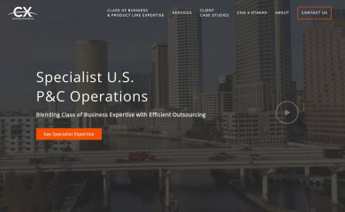 cxiservices.com screenshot