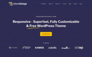 http://cyberchimps.com/businesslite/ screenshot