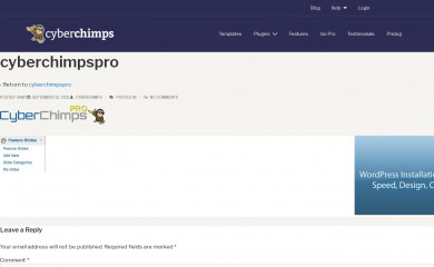 CyberChimps Pro Starter Theme screenshot