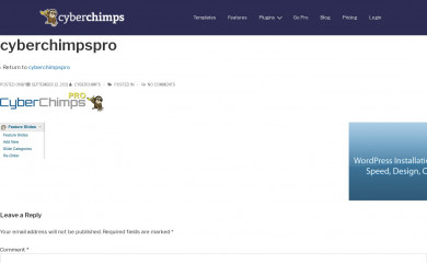 CyberChimps Pro Starter Theme screenshot
