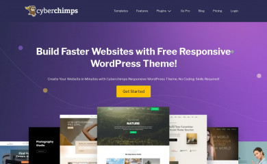 http://cyberchimps.com/responsive-theme/ screenshot