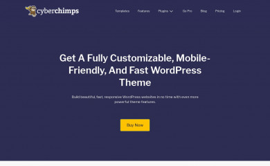 Responsive Pro screenshot