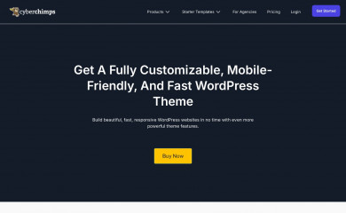 http://cyberchimps.com/store/responsivepro/ screenshot
