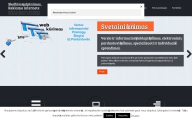 cybergates.lt screenshot