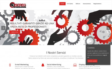 cybereg.com screenshot