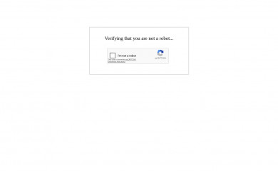 cyberindigo.net screenshot