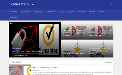 cyberistteam.com screenshot