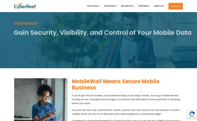cyberreef.com screenshot