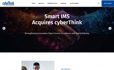 cyberthink.com screenshot