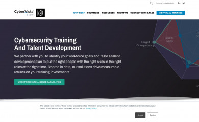 cybervista.net screenshot