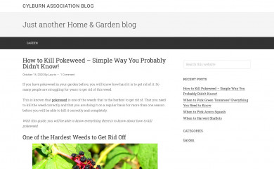 cylburnassociation.org screenshot