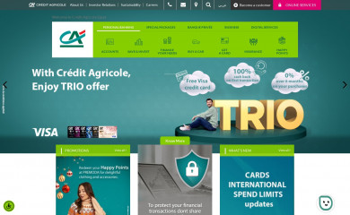 ca-egypt.com screenshot