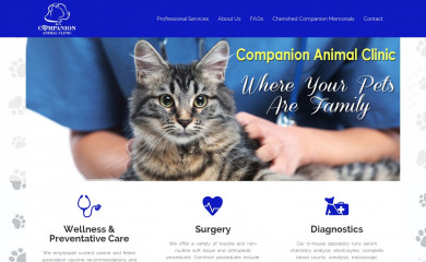 caccares.com screenshot