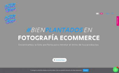 cactusblue.com.mx screenshot